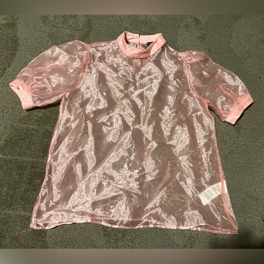 Light Pastel Pink Sheer See Through Puff Sleeve Choker Top Blouse Shiny Kawaii